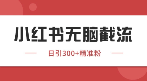 小红书只要你有同行就能获客,独家野路子获客玩法,暴力截流【揭秘】-阳知网创资源库