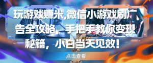 玩游戏挣米，微信小游戏刷广告全攻略，手把手教你变现秘籍，小白当天见效-阳知网创资源库