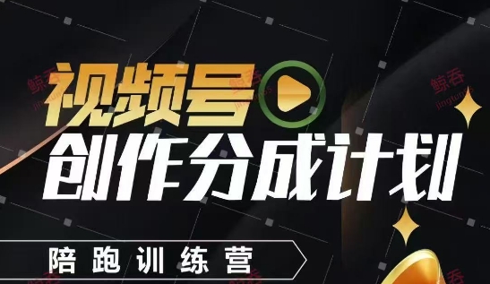 视频号创作分成计划陪跑训练营,手把手教会你如何制作视频,细水长流型项目-阳知网创资源库