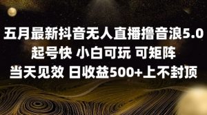 2025五月最新无人直播撸音浪单日产出5张+实操教程【揭秘】-阳知网创资源库