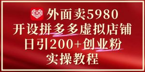 外面卖5980开设拼多多虚拟店铺:单日引流200+创业付费粉实战教程-阳知网创资源库