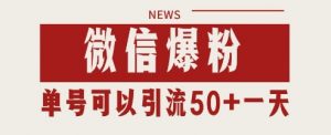 微信爆粉,私域暴力引流打法日引千粉 单号日进50+【揭秘】-阳知网创资源库