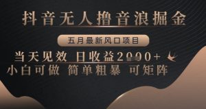 抖音无人撸音浪掘金,五月最新风口项目,当天见效,日收益多张,小白可做简单粗暴可矩阵【揭秘】-阳知网创资源库
