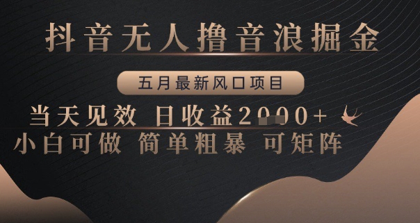 抖音无人撸音浪掘金,五月最新风口项目,当天见效,日收益多张,小白可做简单粗暴可矩阵【揭秘】-阳知网创资源库