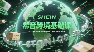 希音跨境基础课,SHEIN希音卖家入门实操指南,新手入坑希音必看-阳知网创资源库