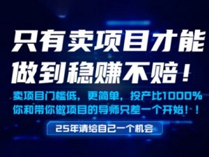 只有卖项目才能做到稳挣不赔,门槛低,更简单,你也可以年入百个W【揭秘】-阳知网创资源库