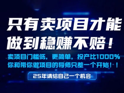 只有卖项目才能做到稳挣不赔，门槛低，更简单，你也可以年入百个W【揭秘】-阳知网创资源库