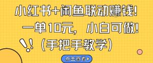 小红书+闲鱼联动挣钱，一单10元，小白可做-阳知网创资源库