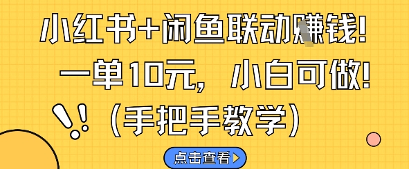 小红书+闲鱼联动挣钱,一单10元,小白可做-阳知网创资源库