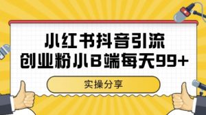 小红书抖音创业粉,小B端粉自热,日引99+的一个玩法【揭秘】-阳知网创资源库