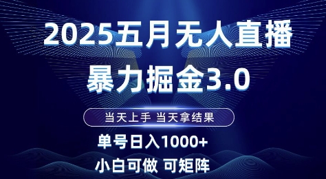 2025五月无人直播暴力掘金3.0，当天上手，当天拿结果，单号日入1k+小白可做可矩阵【揭秘】-阳知网创资源库