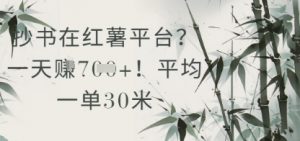 抄书在小红薯平台？平均一单30米，一天收益几张！-阳知网创资源库