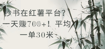 抄书在小红薯平台?平均一单30米,一天收益几张!-阳知网创资源库