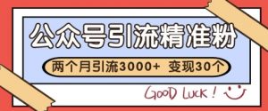 公众号精准粉引流玩法，2个月3000+精准粉，变现30个W【揭秘】-阳知网创资源库