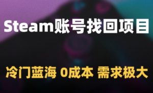 Steam账号找回项目,冷门蓝海,0成本,需求极大-阳知网创资源库