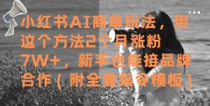 小红书AI商单玩法,用这个方法2个月涨粉7W+,新手也能接品牌合作(附全套指令模板)-阳知网创资源库