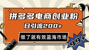 拼多多引流电商创业粉，日引200+，可矩阵放大，做了就有效【揭秘】-阳知网创资源库