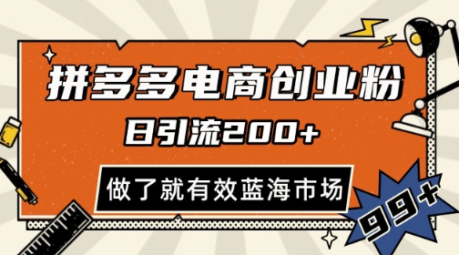 拼多多引流电商创业粉,日引200+,可矩阵放大,做了就有效【揭秘】-阳知网创资源库