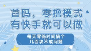 首码，零撸模式，有快手就可以做，每天零碎时间搞个几张不成问题【揭秘】-阳知网创资源库