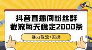 抖音直播间粉丝群暴力截流,一台电脑每天稳定2000条数据,暴力截流+实操 【揭秘】-阳知网创资源库