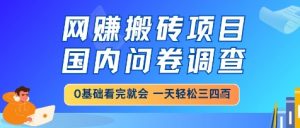 网创搬砖项目,国内问卷调查,小白轻松上手,一天三四张的也不难,干就完了【揭秘】-阳知网创资源库