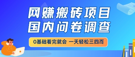网创搬砖项目,国内问卷调查,小白轻松上手,一天三四张的也不难,干就完了【揭秘】-阳知网创资源库