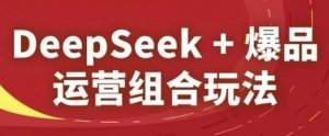 DeepSeek+爆品运营组合玩法，2025淘系精品课-阳知网创资源库