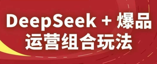 DeepSeek+爆品运营组合玩法,2025淘系精品课-阳知网创资源库