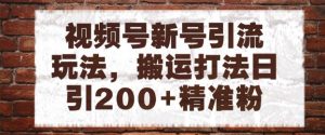 视频号新号引流玩法，搬运打法日引200+精准粉，可矩阵放大【揭秘】-阳知网创资源库