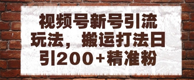 视频号新号引流玩法,搬运打法日引200+精准粉,可矩阵放大【揭秘】-阳知网创资源库