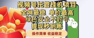 视频号托管挂G项目全网最稳,单价最高,绿色安全不封号提现秒到账,操作简单,收益稳定【揭秘】-阳知网创资源库