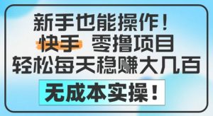 新手也能操作,快手零撸挣米,轻松每天挣2-5张,完全无成本-阳知网创资源库