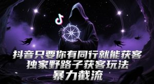 抖音只要你有同行就能获客，独家野路子获客玩法，暴力截流【揭秘】-阳知网创资源库