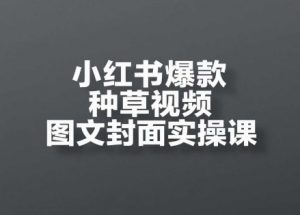 小红书爆款种草视频图文封面实操课,开店、选品、引流、变现全流程-阳知网创资源库