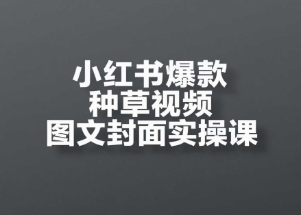 小红书爆款种草视频图文封面实操课,开店、选品、引流、变现全流程-阳知网创资源库
