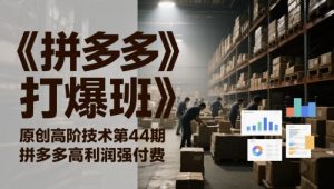 《拼多多打爆班》原创高阶技术第44期,拼多多高利润强付费-阳知网创资源库
