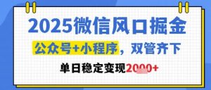 2025微信风口掘金，公众号+小程序双管齐下，单日稳定变现1k+【揭秘】-阳知网创资源库