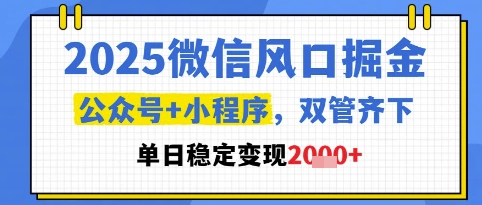 2025微信风口掘金,公众号+小程序双管齐下,单日稳定变现1k+【揭秘】-阳知网创资源库