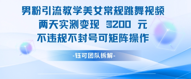 男粉引流教学美女常规跳舞视频两天实测变现1k+,不违规不封号可矩阵操作-阳知网创资源库