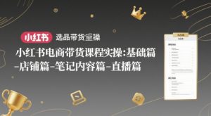 小红书电商带货课程实操：基础篇-选品篇-店铺篇-笔记内容篇-直播篇-阳知网创资源库