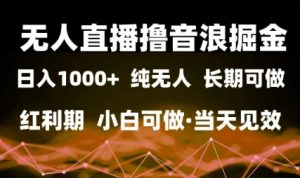 无人直播撸音浪掘金,日入1k+,纯无人红利期,小白可做,当天见效【揭秘】-阳知网创资源库