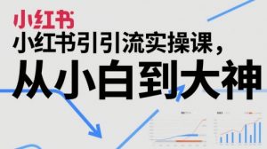 小红书引流实操课,从小白到大神-阳知网创资源库