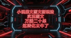 小说推文图文新玩法,实况图文,万播二十单,这转化太牛了!-阳知网创资源库