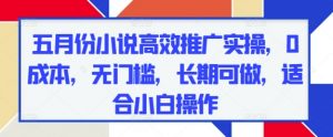 五月份小说高效推广实操，0成本，无门槛，长期可做，适合小白操作-阳知网创资源库