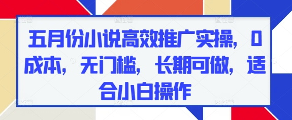 五月份小说高效推广实操,0成本,无门槛,长期可做,适合小白操作-阳知网创资源库
