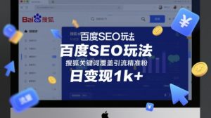 百度SEO玩法,搜狐关键词覆盖引流精准粉,日变现1k+【揭秘】-阳知网创资源库