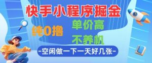 快手小程序掘金,纯0撸,单价高不养机 利用空闲时间做一做,一天好几张【揭秘】-阳知网创资源库