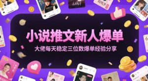 小说推文新人爆单大佬每天稳定三位数爆单经验分享-阳知网创资源库