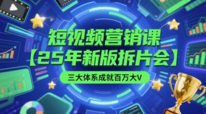 短视频营销课【25年新版拆片会】三大体系成就百万大V,包含正课、拆片会、手把手教学直播课等-阳知网创资源库