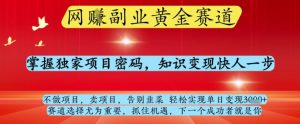 网创副业黄全赛道,掌握独家项目密码,知识变现快人一步,告别韭菜轻松实现单日变现1k+【揭秘】-阳知网创资源库